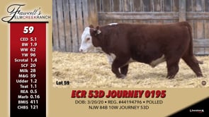 Lot #59 - ECR 53D JOURNEY 0195