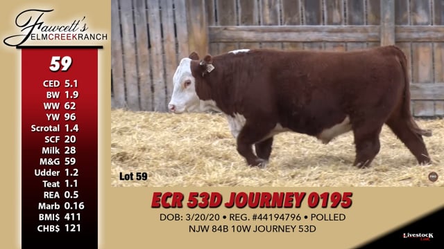 Lot #59 - ECR 53D JOURNEY 0195