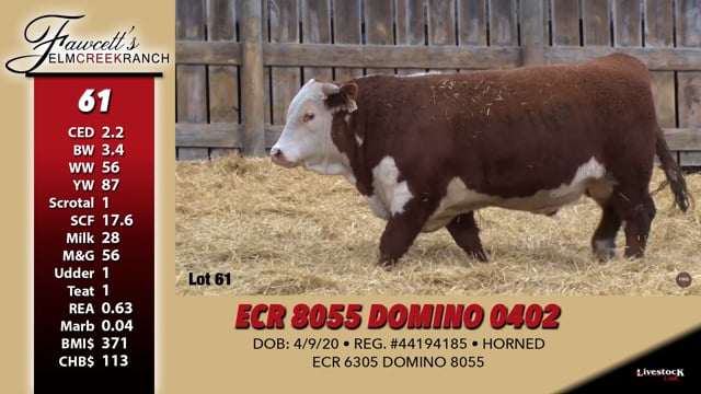 Lot #61 - ECR 8055 DOMINO 0402