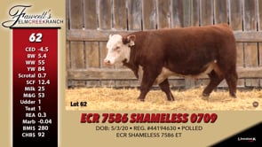 Lot #62 - ECR 7586 SHAMELESS 0709