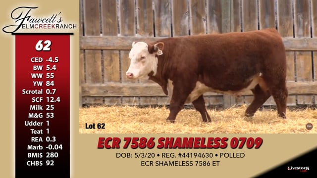Lot #62 - ECR 7586 SHAMELESS 0709