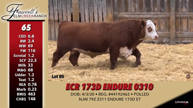 Lot #65 - ECR 173D ENDURE 0310