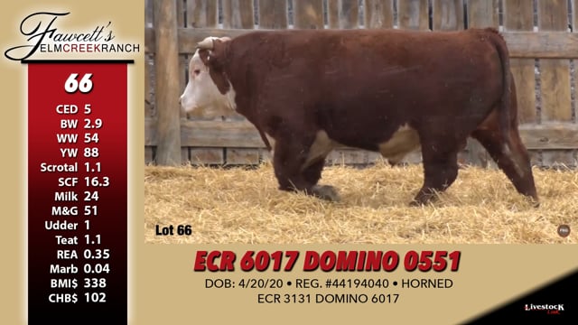Lot #66 - ECR 6017 DOMINO 0551