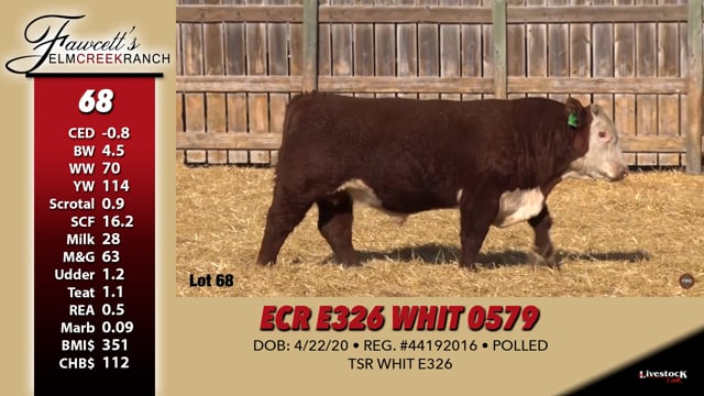 Lot #68 - ECR E326 WHIT 0579
