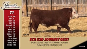 Lot #71 - ECR 53D JOURNEY 0231