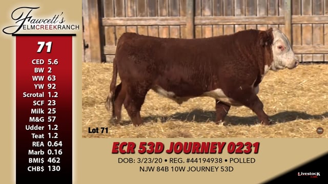 Lot #71 - ECR 53D JOURNEY 0231