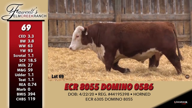 Lot #69 - ECR 8055 DOMINO 0586