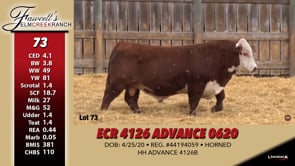Lot #73 - ECR 4126 ADVANCE 0620