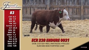 Lot #83 - ECR 238 ENDURE 0031