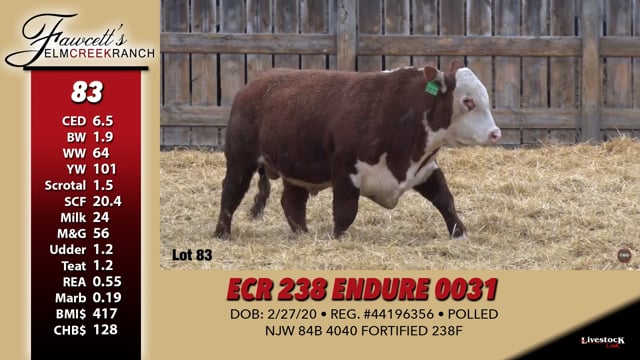 Lot #83 - ECR 238 ENDURE 0031