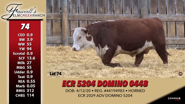 Lot #74 - ECR 5204 DOMINO 0448