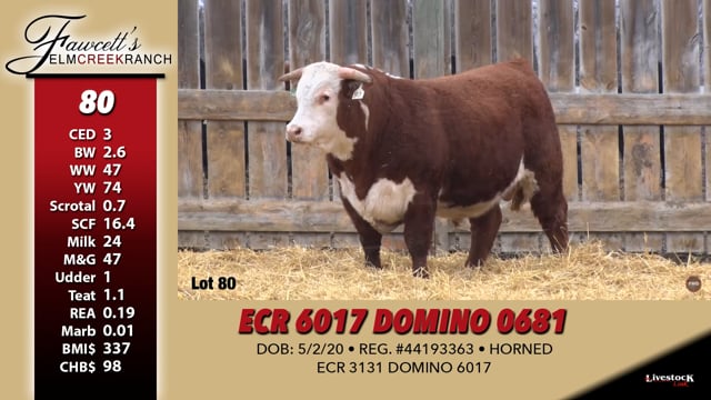 Lot #80 - ECR 6017 DOMINO 0681