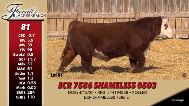 Lot #81 - ECR 7586 SHAMELESS 0503