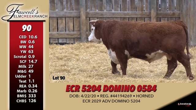 Lot #90 - ECR 5204 DOMINO 0584