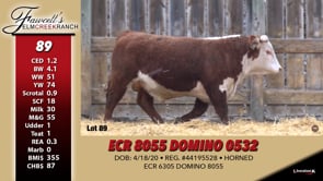 Lot #89 - ECR 8055 DOMINO 0532