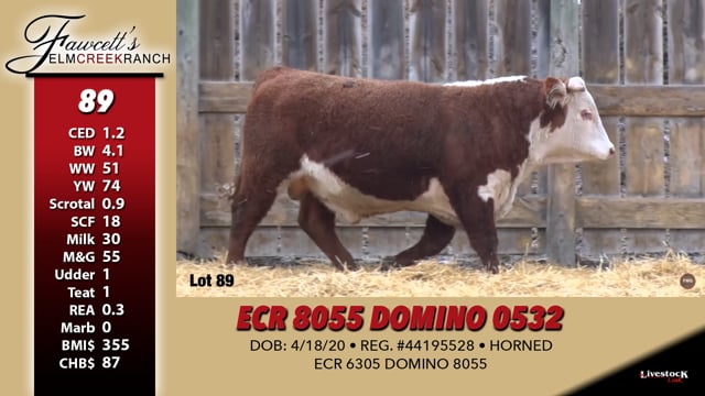 Lot #89 - ECR 8055 DOMINO 0532