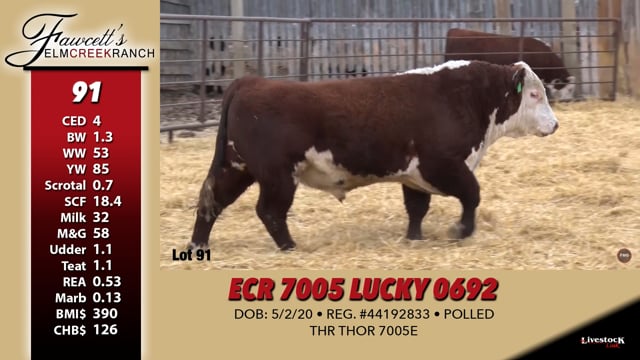 Lot #91 - ECR 7005 LUCKY 0692