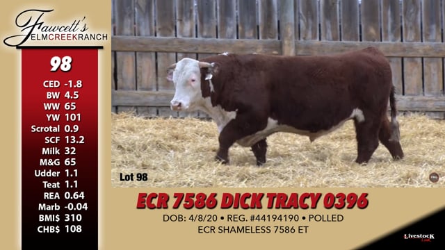 Lot #98 - ECR 7586 DICK TRACY 0396