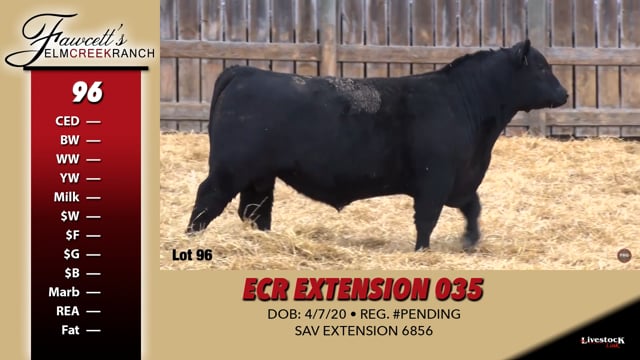 Lot #96 - ECR EXTENSION 035