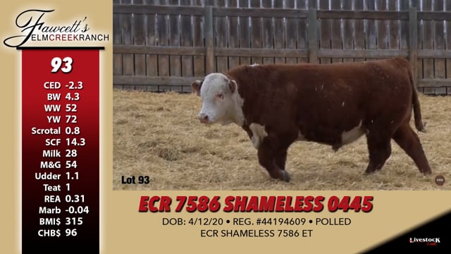 Lot #93 - ECR 7586 SHAMELESS 0445