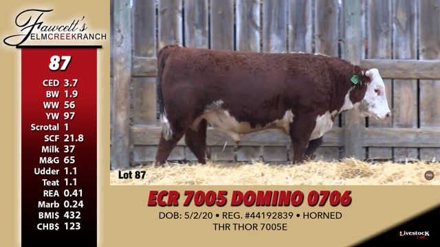 Lot #87 - ECR 7005 DOMINO 0706