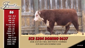 Lot #86 - ECR 5204 DOMINO 0637