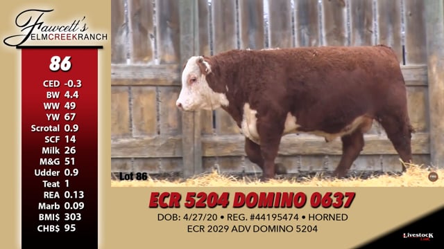 Lot #86 - ECR 5204 DOMINO 0637