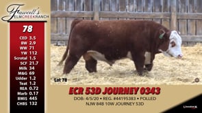 Lot #78 - ECR 53D JOURNEY 0343