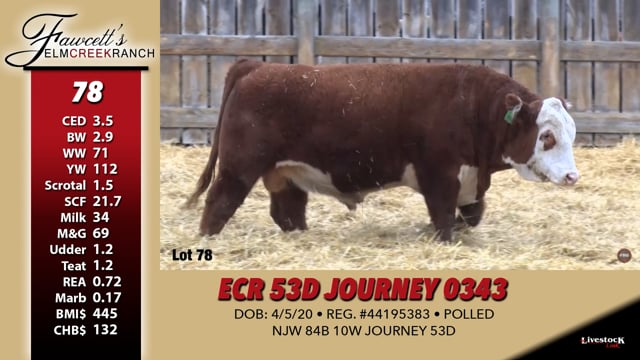 Lot #78 - ECR 53D JOURNEY 0343