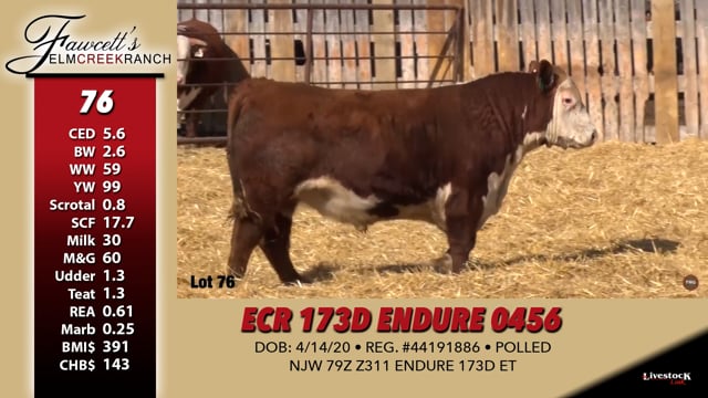 Lot #76 - ECR 173D ENDURE 0456