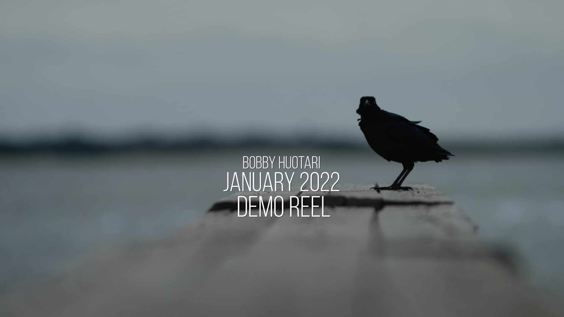 Demo Reel 2022 by Bobby Huotari
