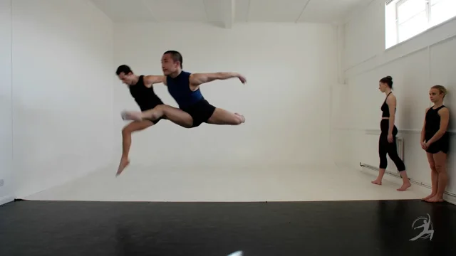 The Graham Technique In 21 Movements