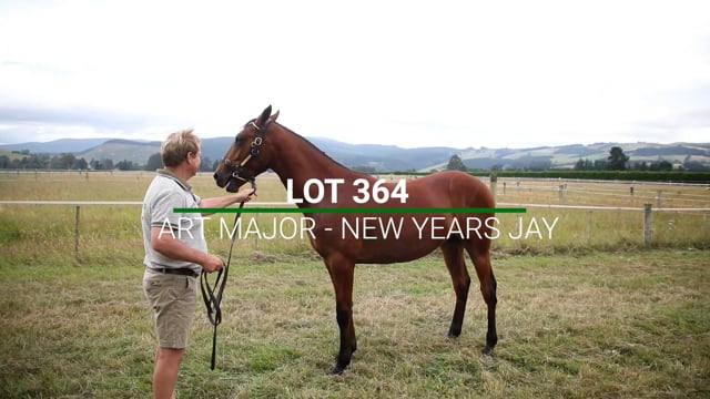 Lot 364