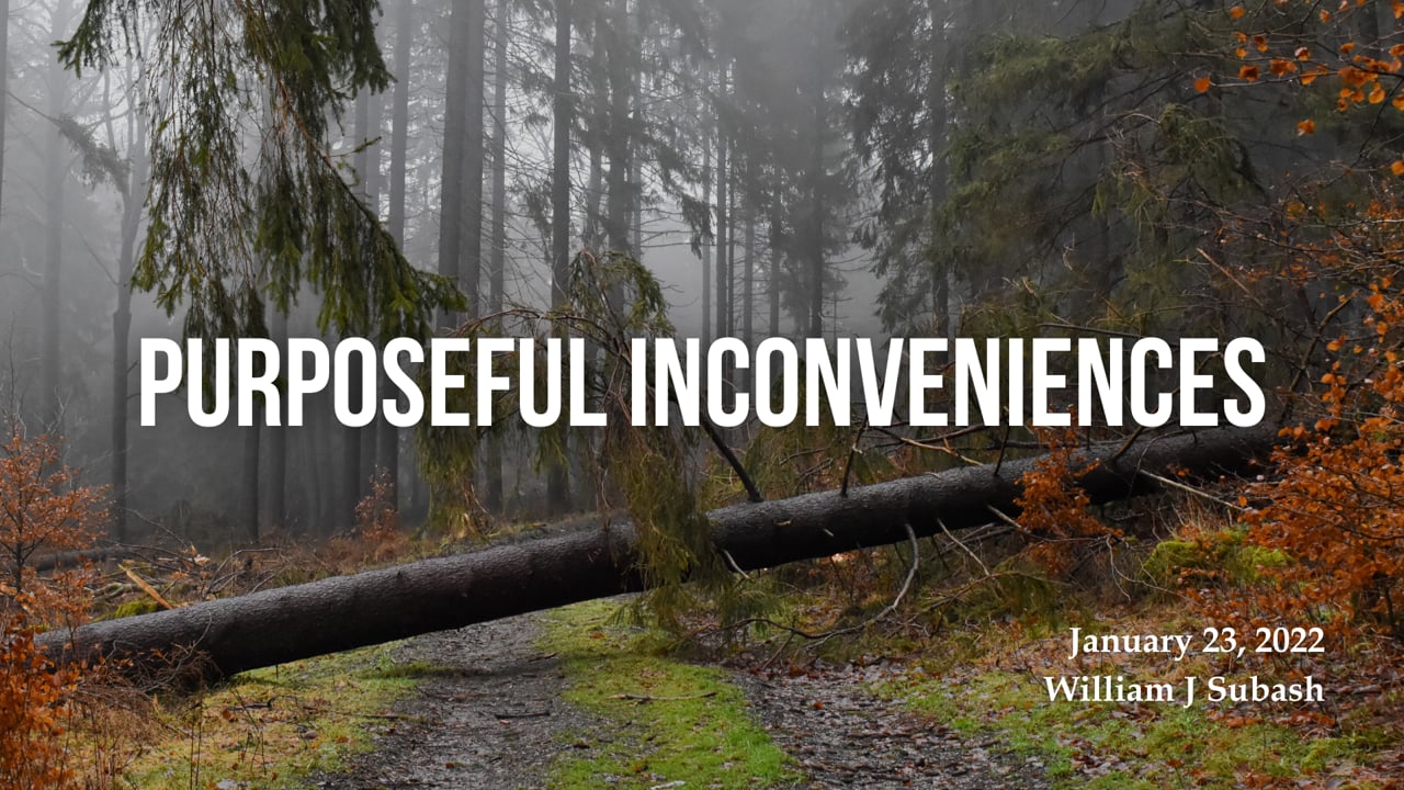 Purposeful Inconveniences