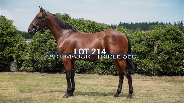 Lot 214