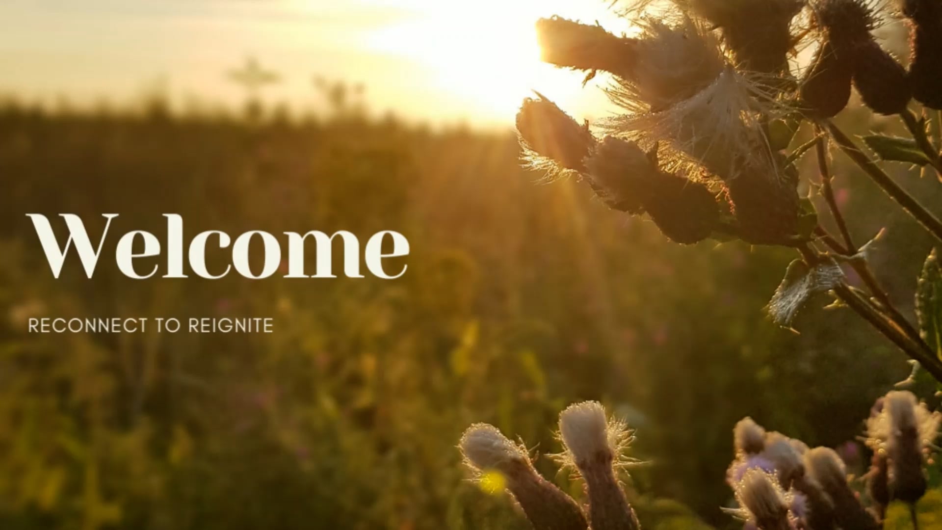 Welcome on Vimeo