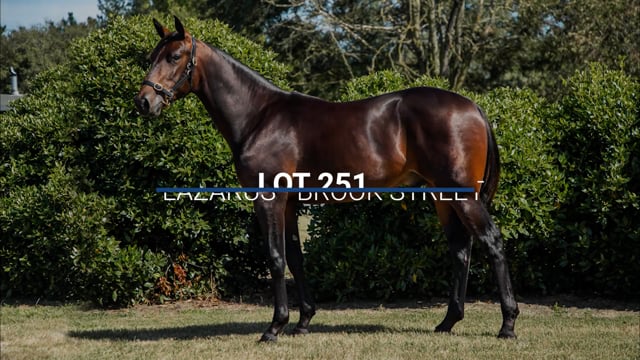 Lot 251