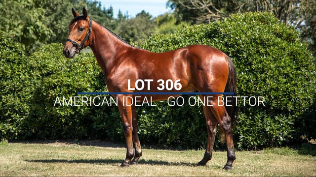 Lot 306