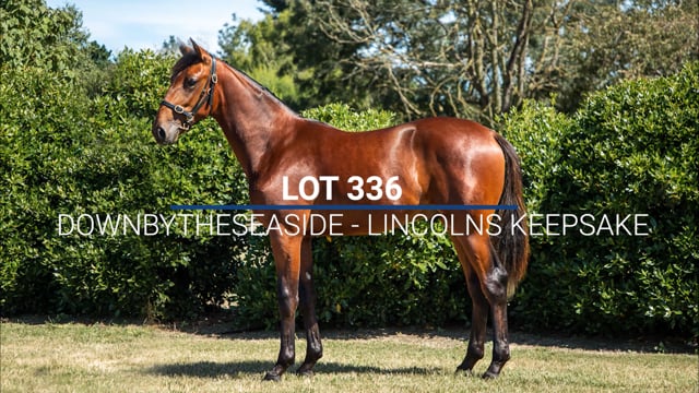 Lot 336