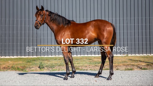 Lot 332