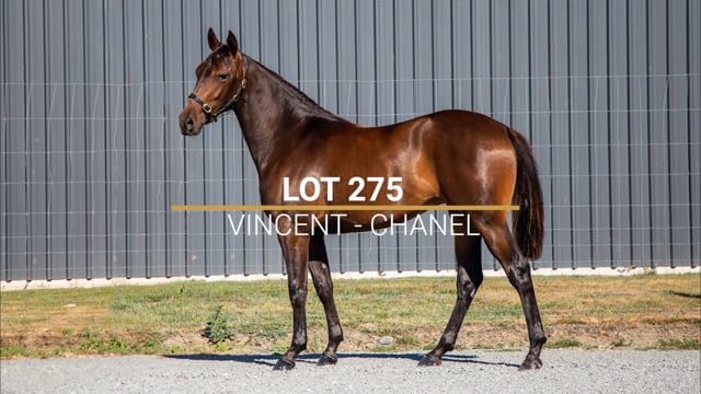 Lot 275