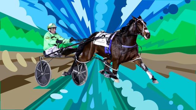 NZB Standardbred Stars –  Kentuckiana Lodge