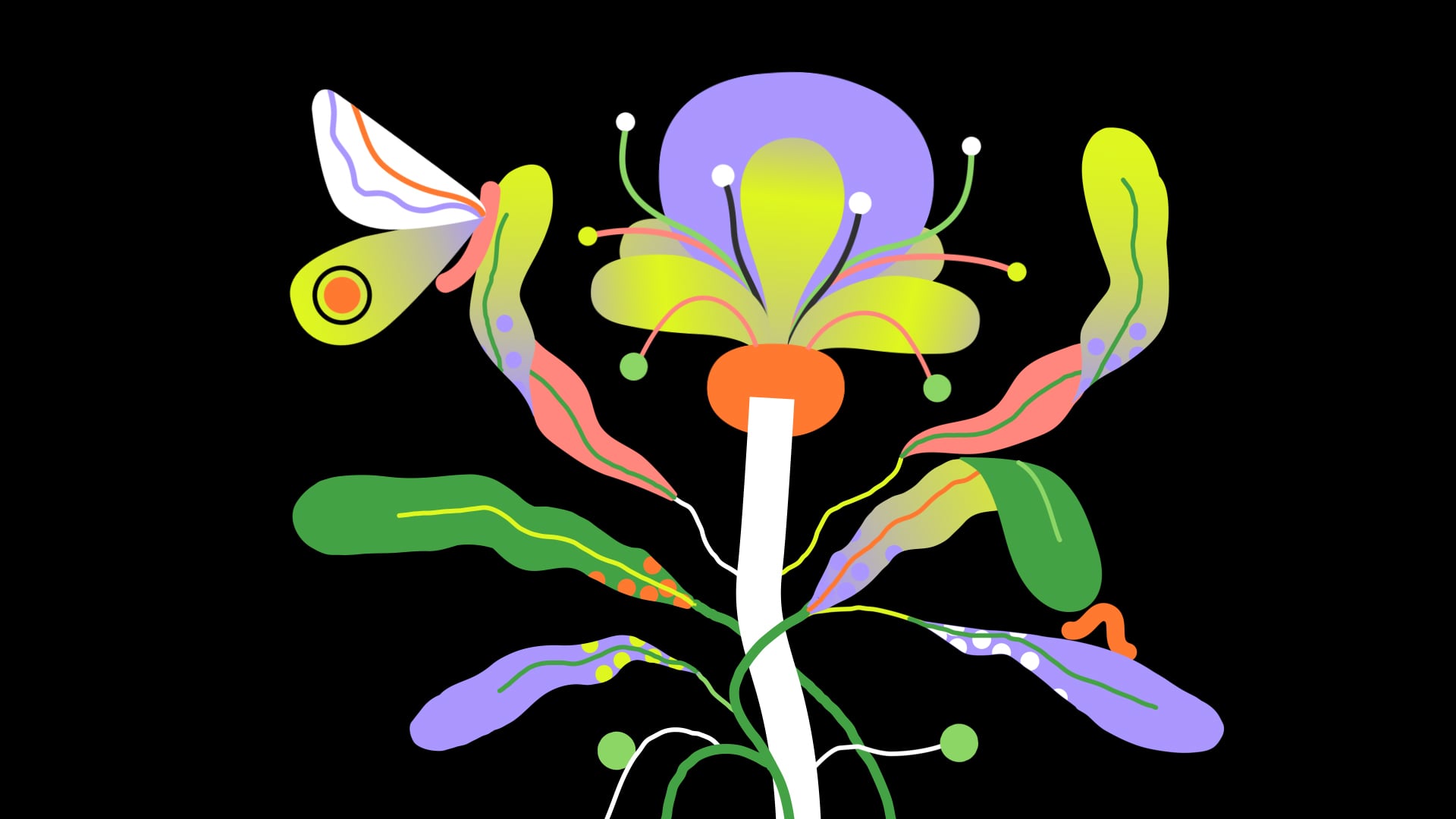 Nature.org - Biodiversity Animated Commercial