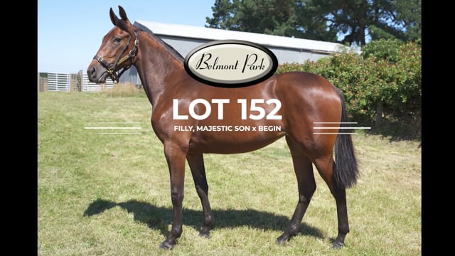 Lot 152