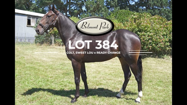 Lot 384