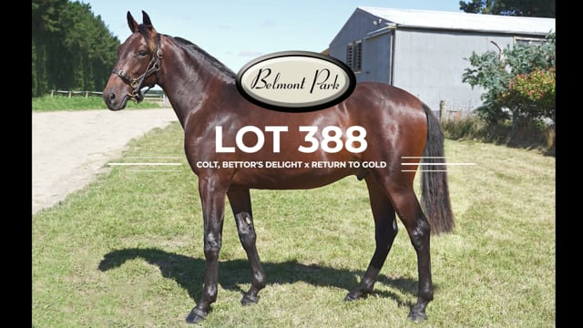 Lot 388