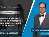 Penalties If Someone Is Convicted Of A Domestic Violence Related Charge In Michigan | Scott Weinberg - Domestic Violence