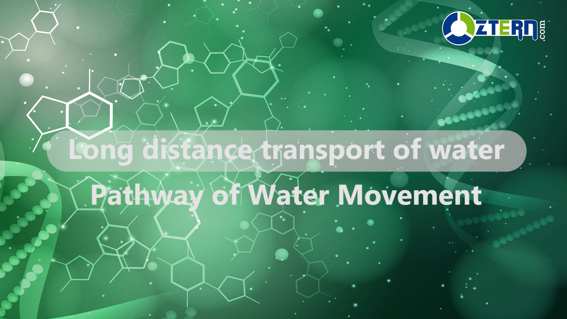 02-pathway-of-water-movement-on-vimeo