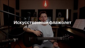 Искусственный флажолет