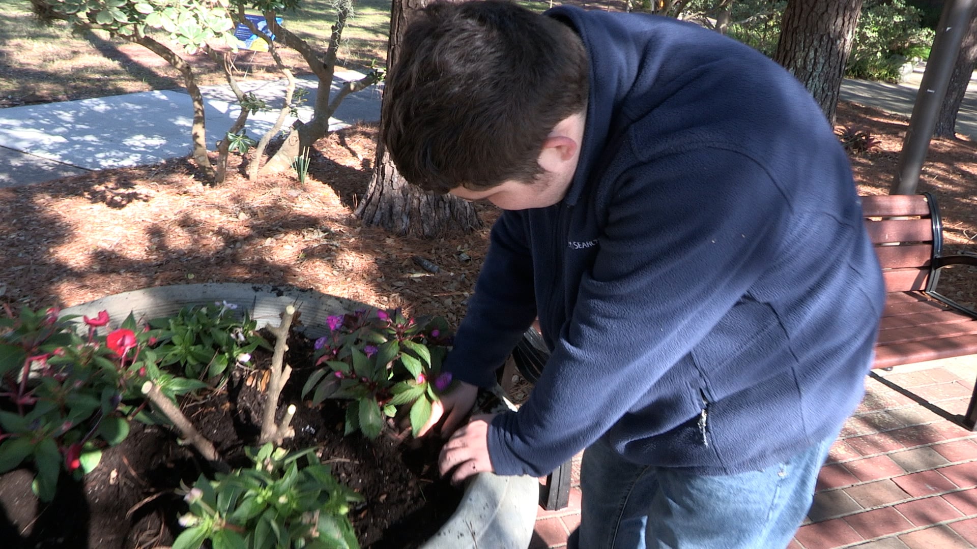 Project SEARCH at Alden Road Exceptional Student Center on Vimeo